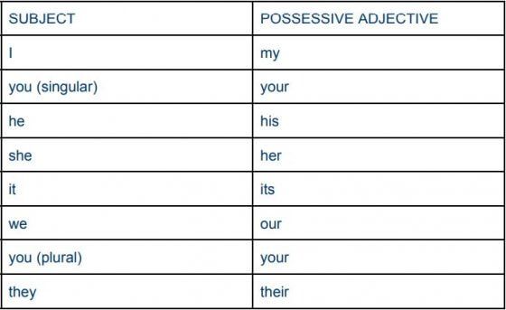 Possessive Adjective All You Need To Know About Possessive Adjectives 7esl